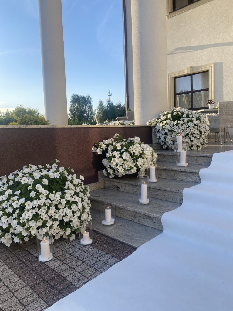 Pałac Wola Ducka plener