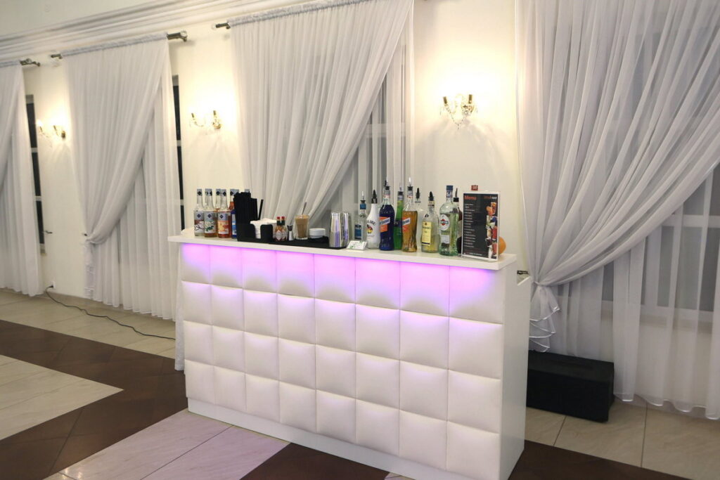 Pałac Wola Ducka Sala wewnątrz